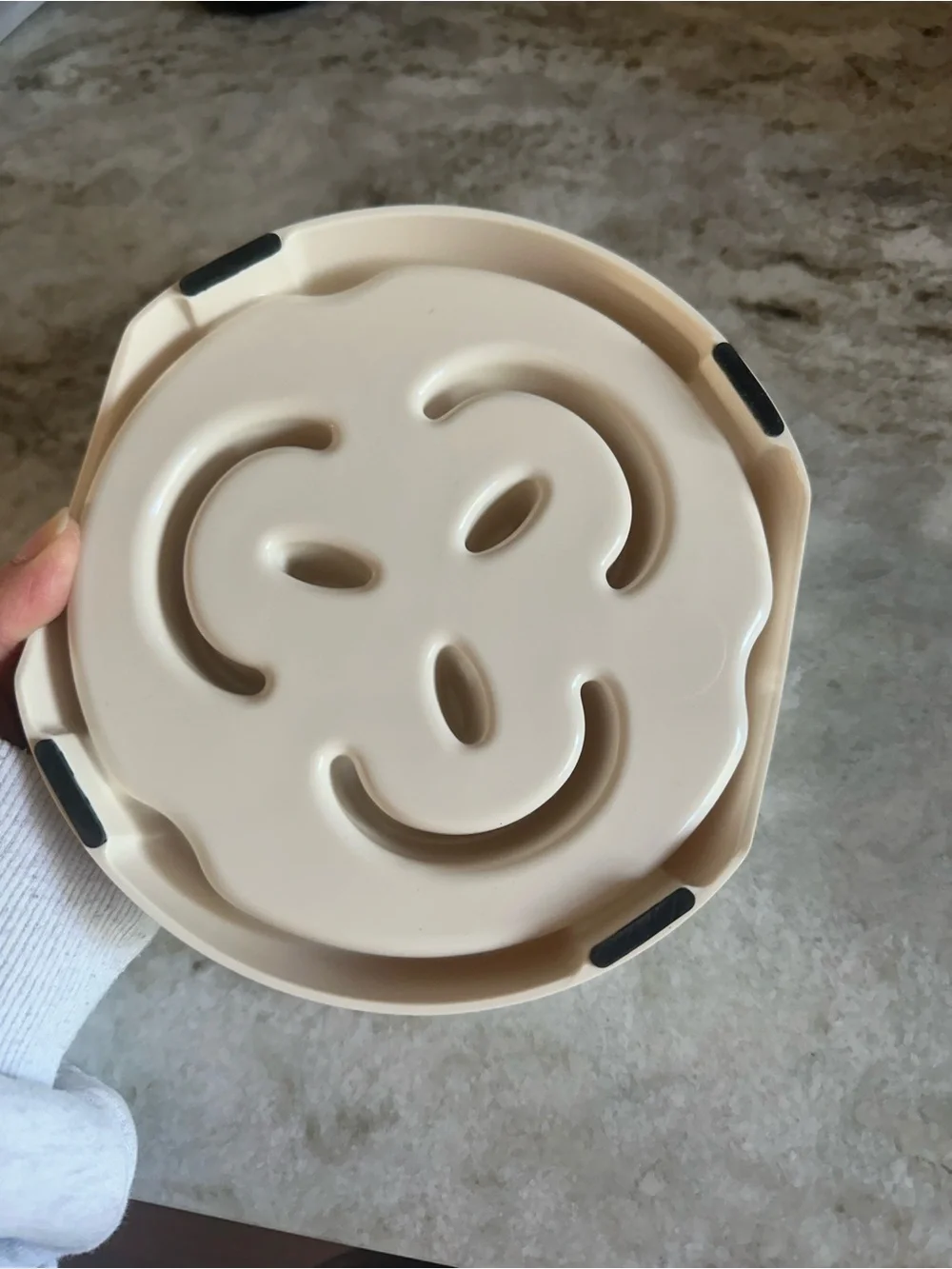 Slow Feed Pet Bowl - Cream Slow Feeder